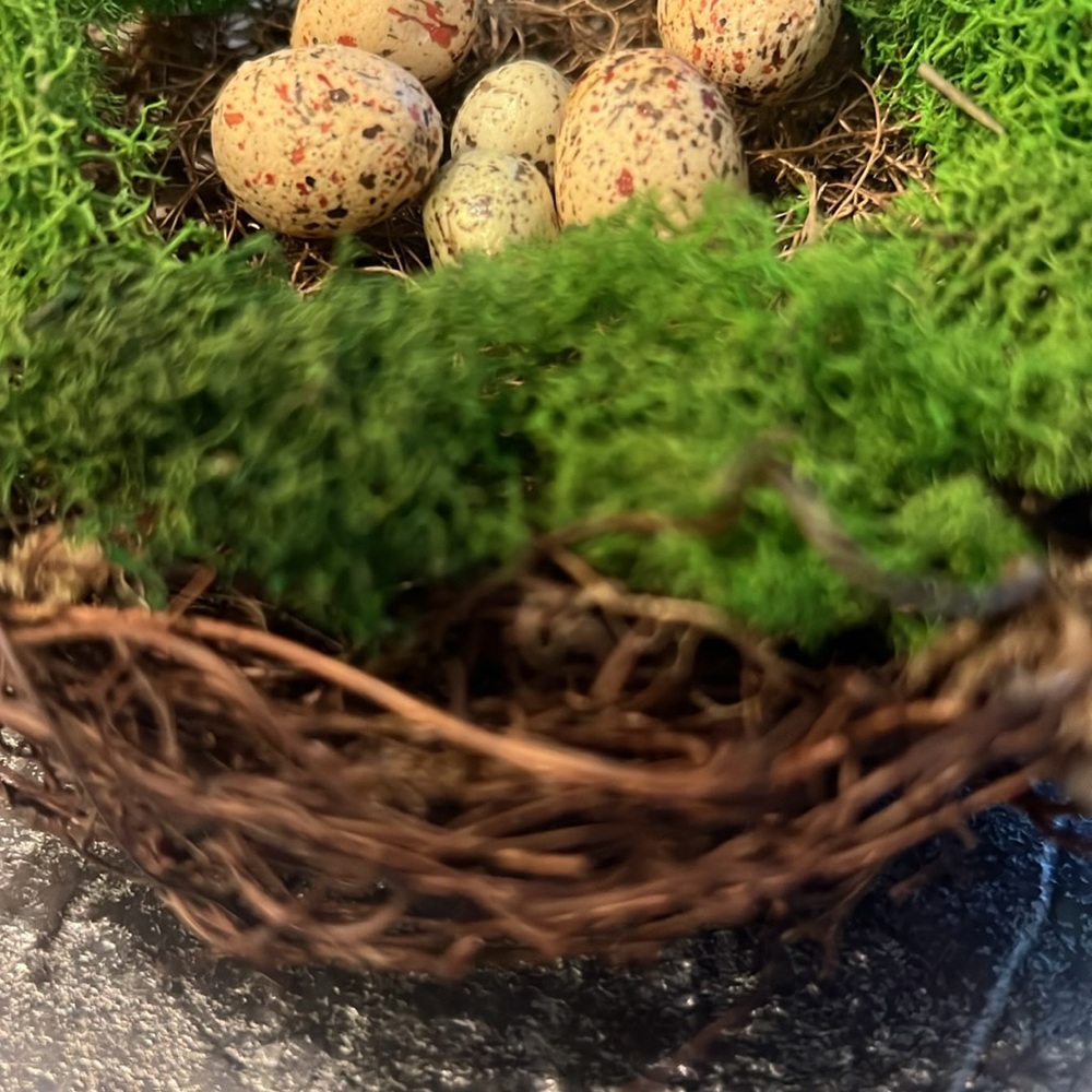 Easter Birds Nest w/Miniture Eggs - Picture 3 of 4